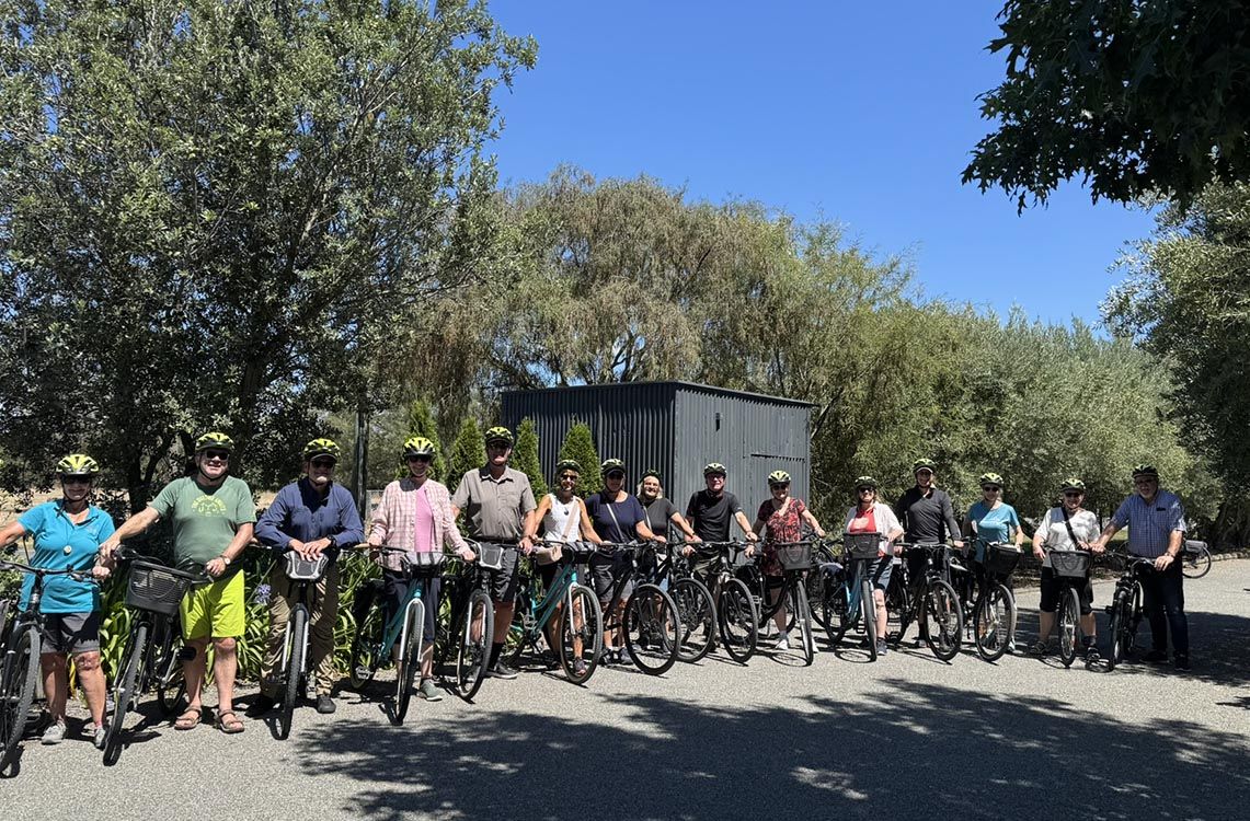 Bike rental Marlborough