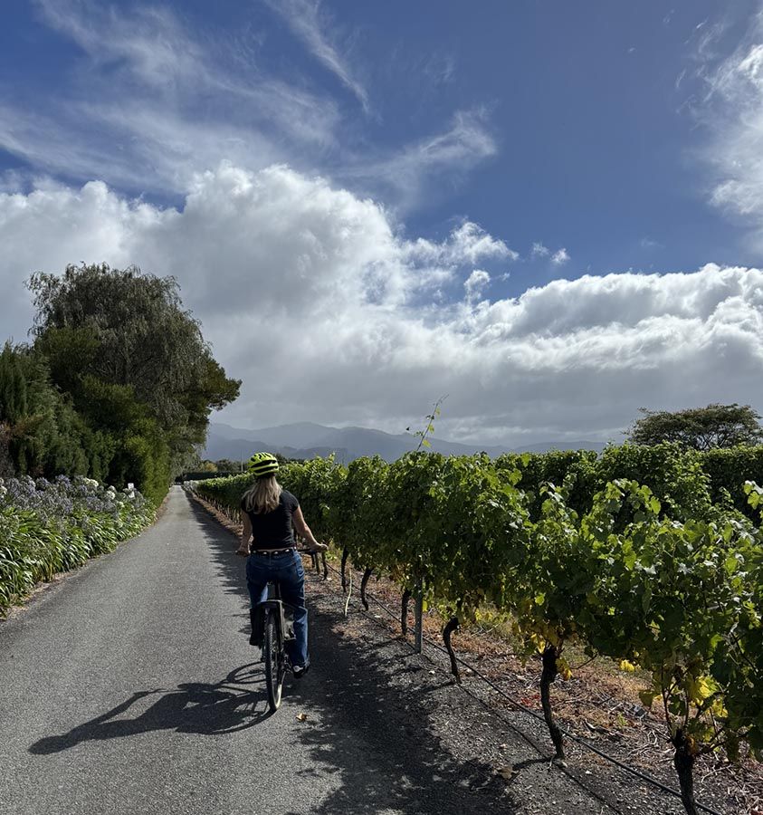 Vineyard cycle path