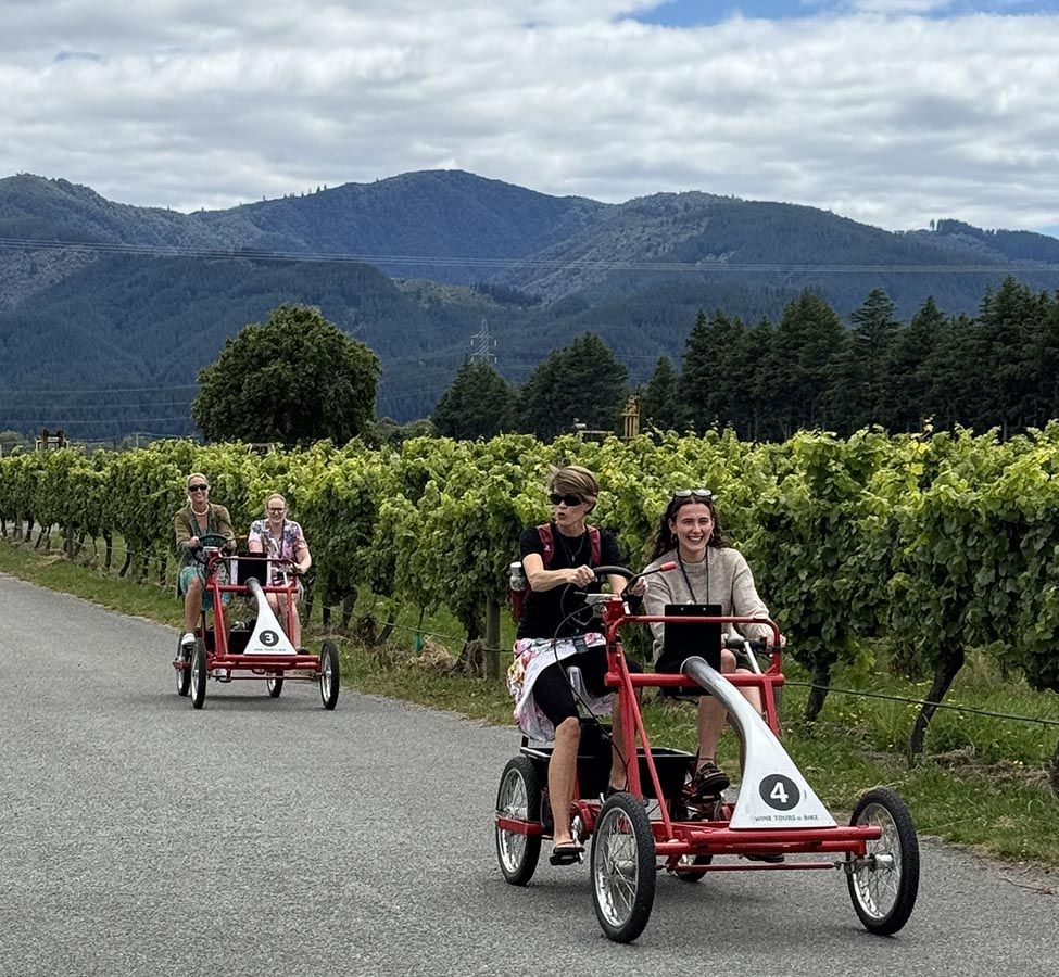 Bike Marlborough all year round