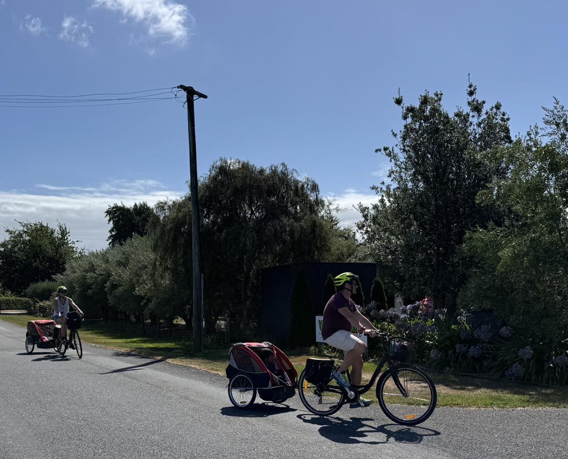 Marlborough biking wine tour