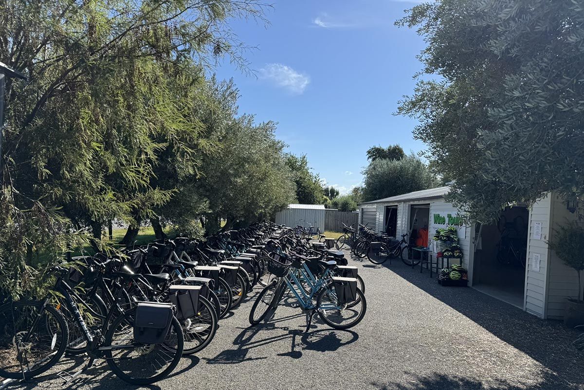 Wine tours by bike Renwick Blenheim