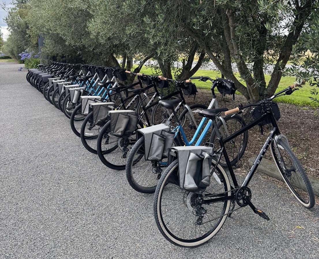 Comfortable bikes hire
