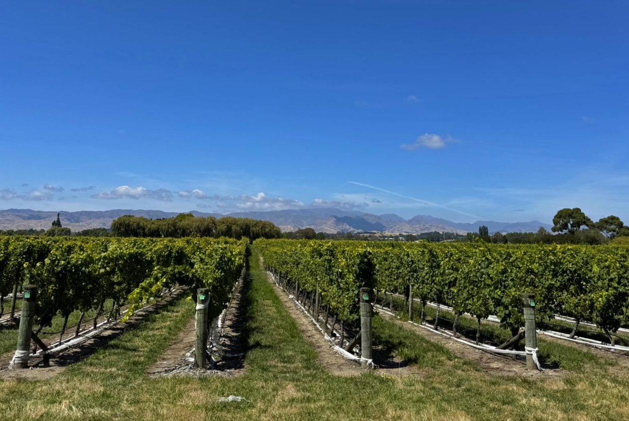 Marlborough bike hire Blenheim