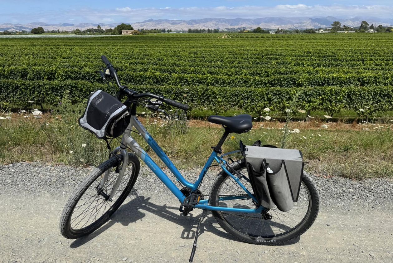 Marlborough wine tour by bike