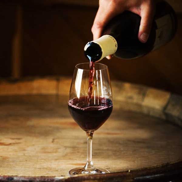 Bike hire for wine tastings & tours Marlborough self guided biking wine tour