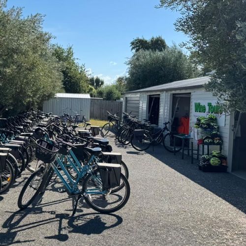 Wine Tours by Bike Renwick Marlborough