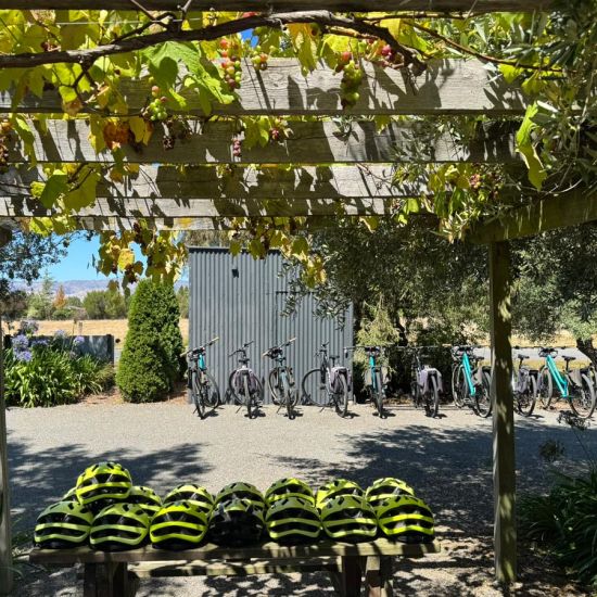 Free shuttle service from and to Blenheim